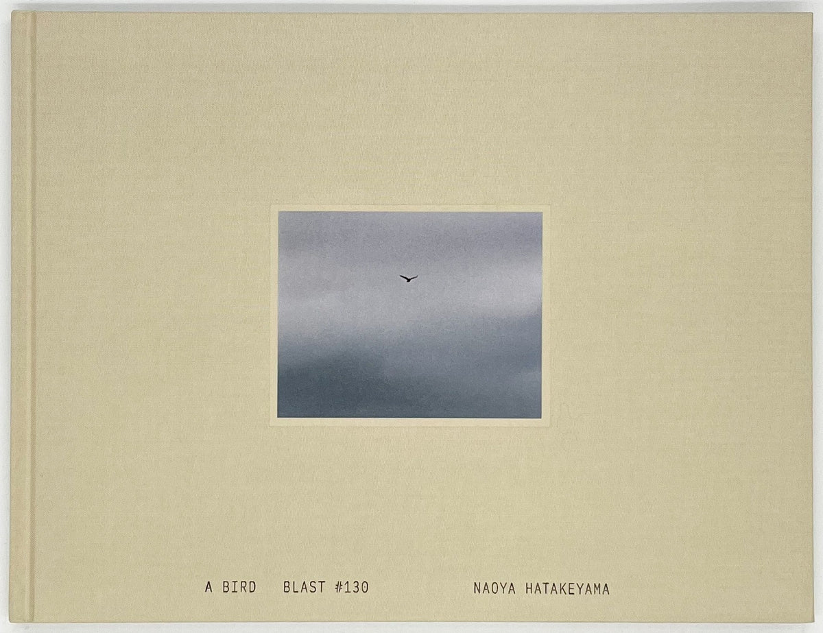 畠山直哉『A BIRD Blast #130』 – 青山ブックセンター本店