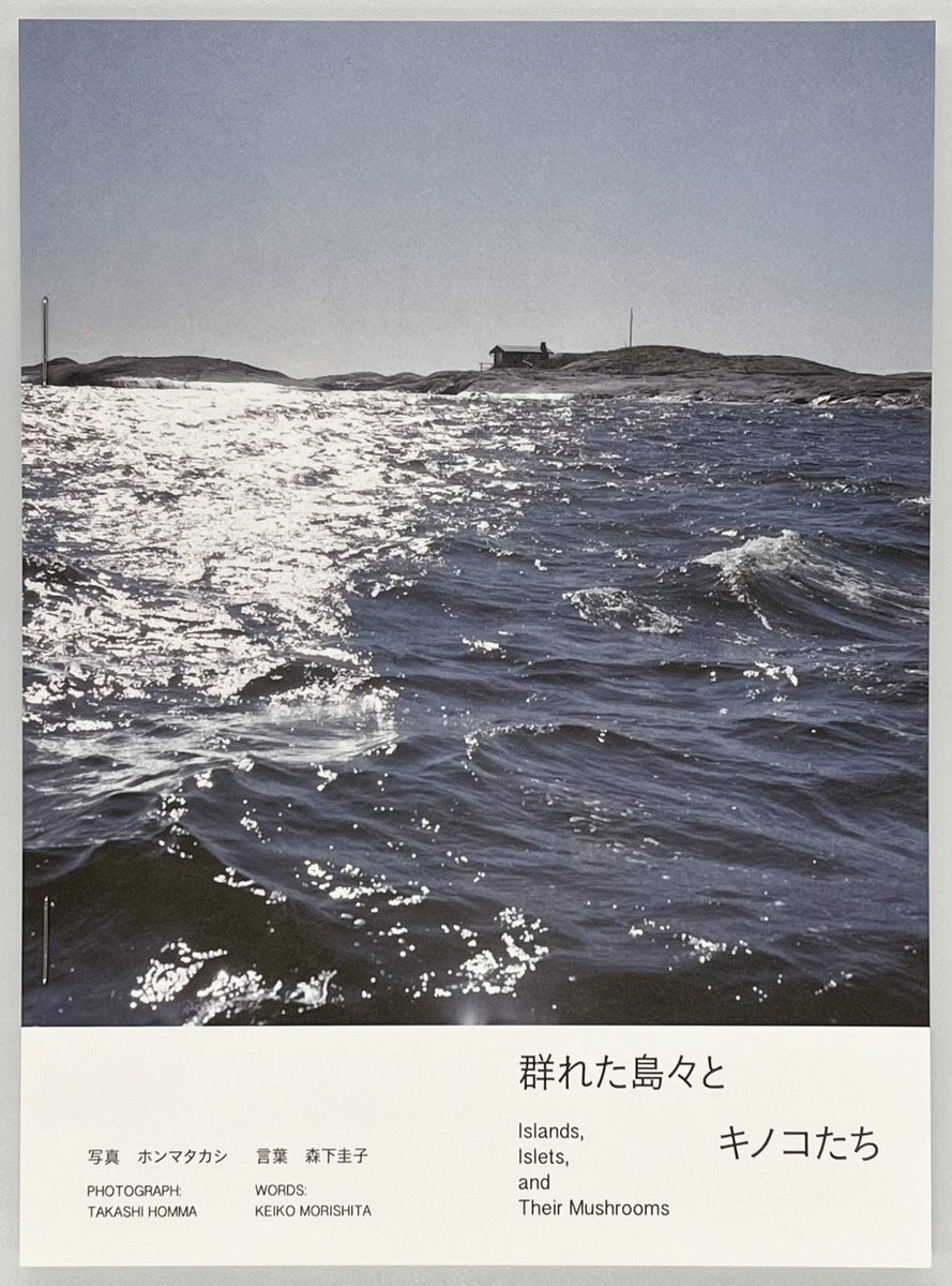 ホンマタカシ 森下圭子『群れた島々と キノコたち』 – 青山