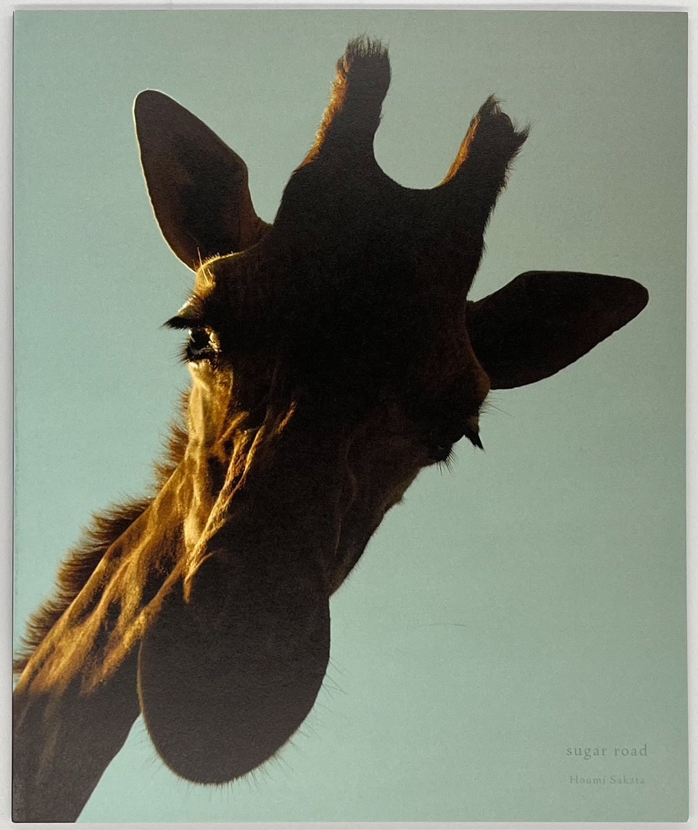 新品未開封 絶版本 STREET ART LOFT PUBLICATIONS 新品未開封 絶版本 STREET ART LOFT PUBLICATIONS