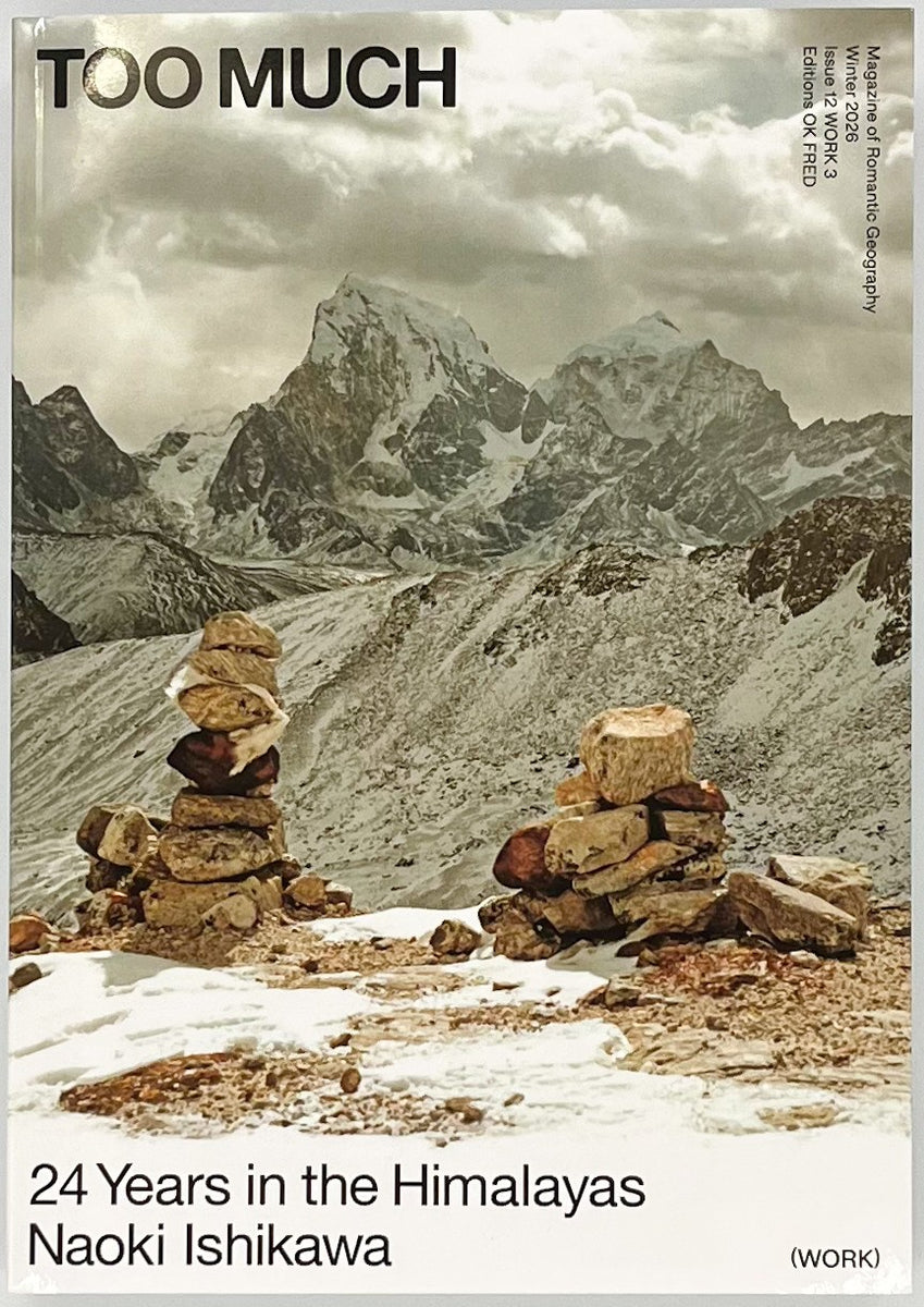 TOO MUCH Magazine issue12 Work 3 — Naoki Ishikawa 