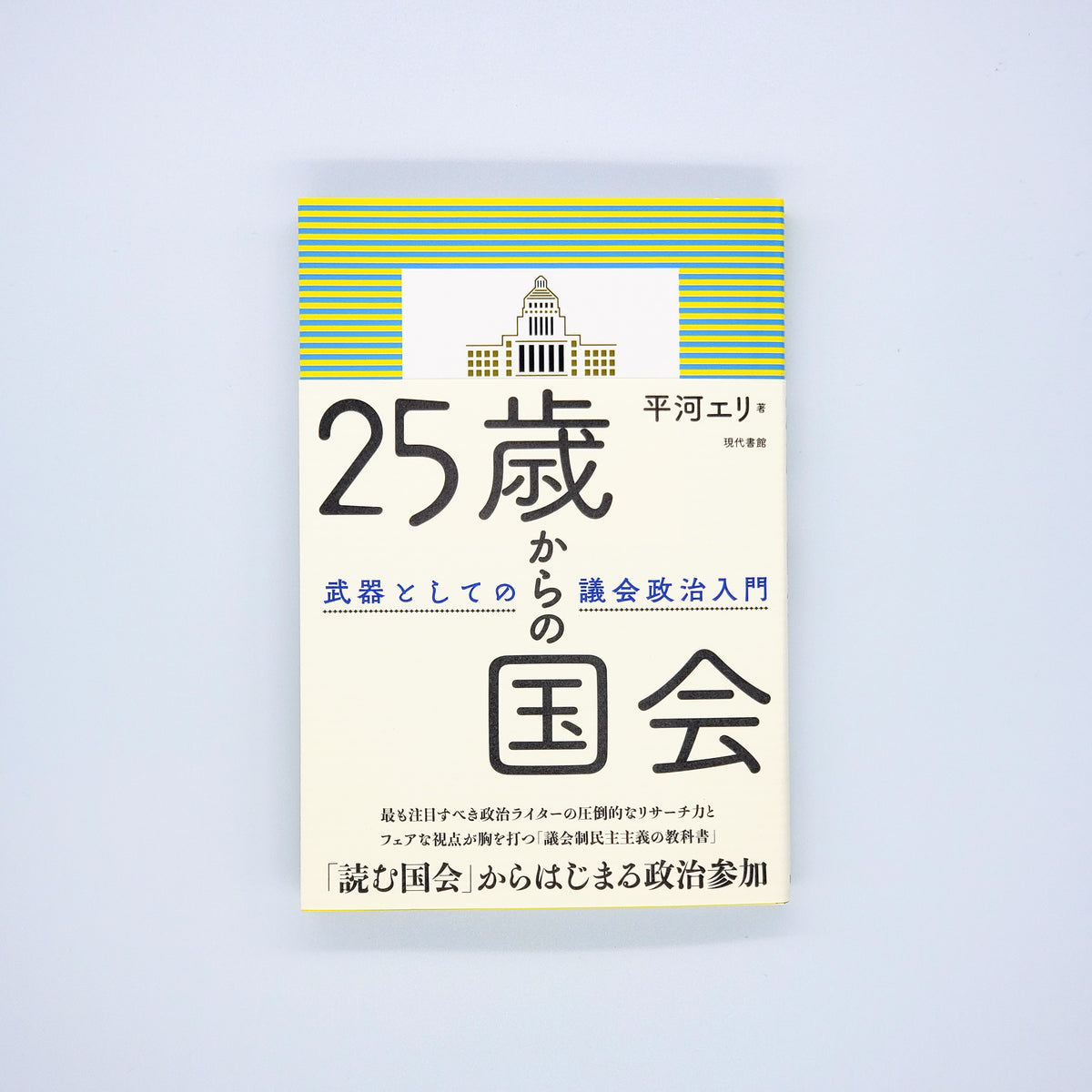 平河エリ『25歳からの国会』