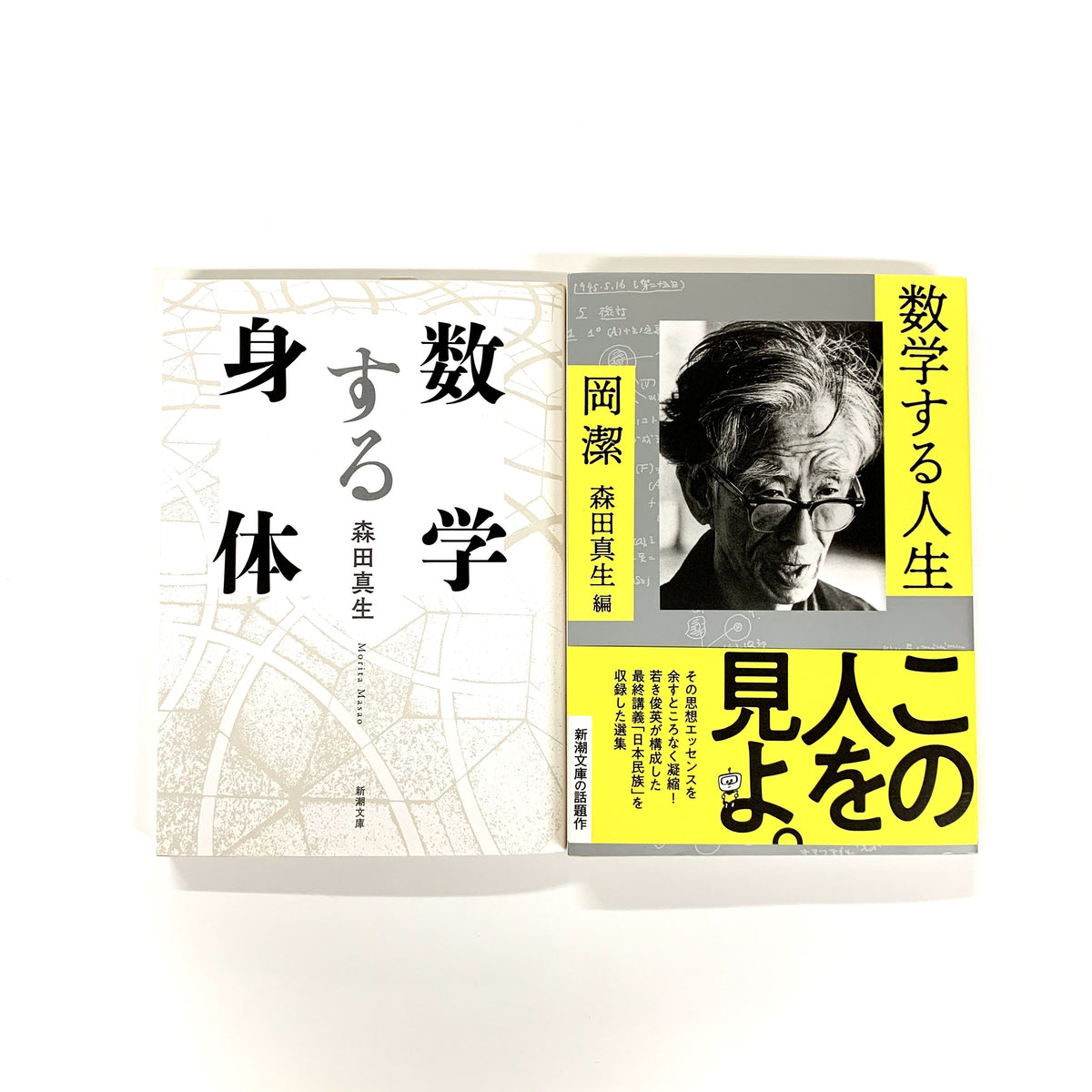 森田真生『数学する身体』岡潔 森田真生 編『数学する人生』2冊