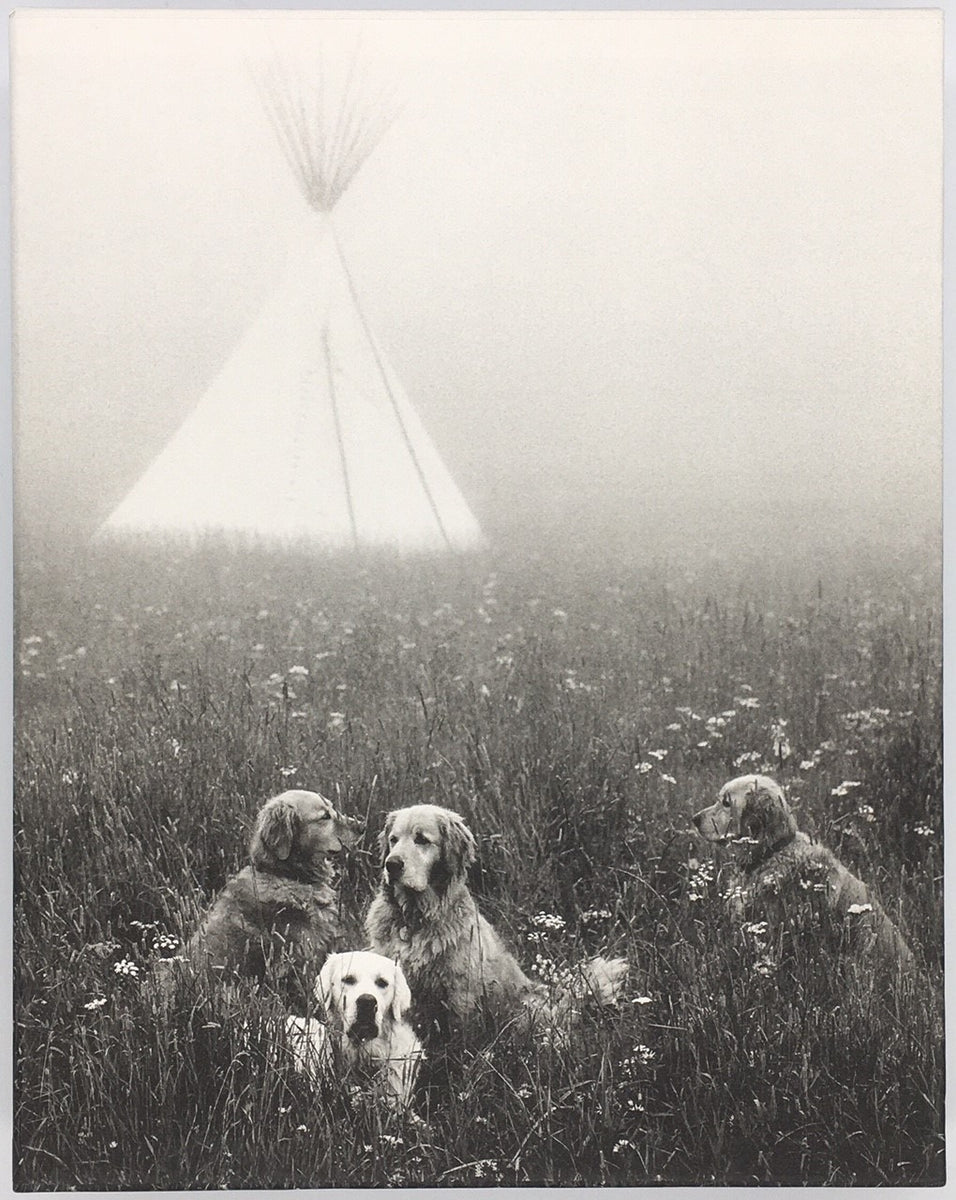 Bruce Weber『The Golden Retriever Photographic Society』