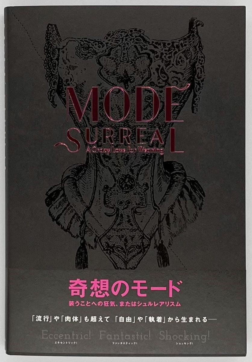 【美本】【初版】想念が社会を創る　コルネリュウス・カストリアディス 想念が社会を創る: 社会的想念と制度 (叢書・ウニベルシタス 452