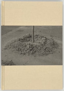池⾕陸『root』