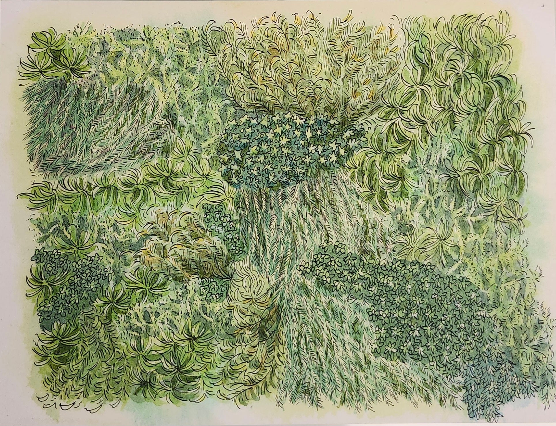 デザイン – 青山ブックセンター本店