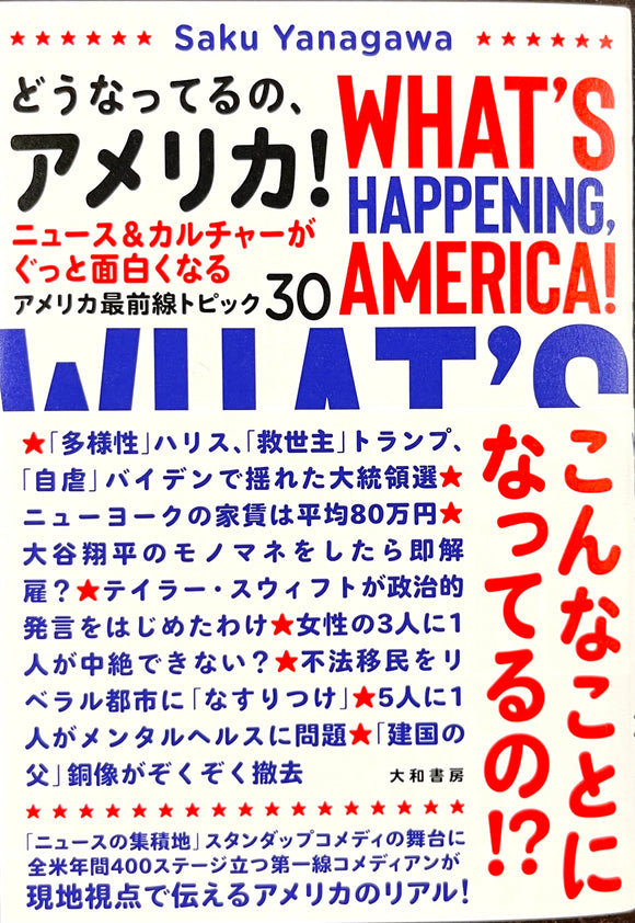 柳川朔『どうなってるの、アメリカ！』