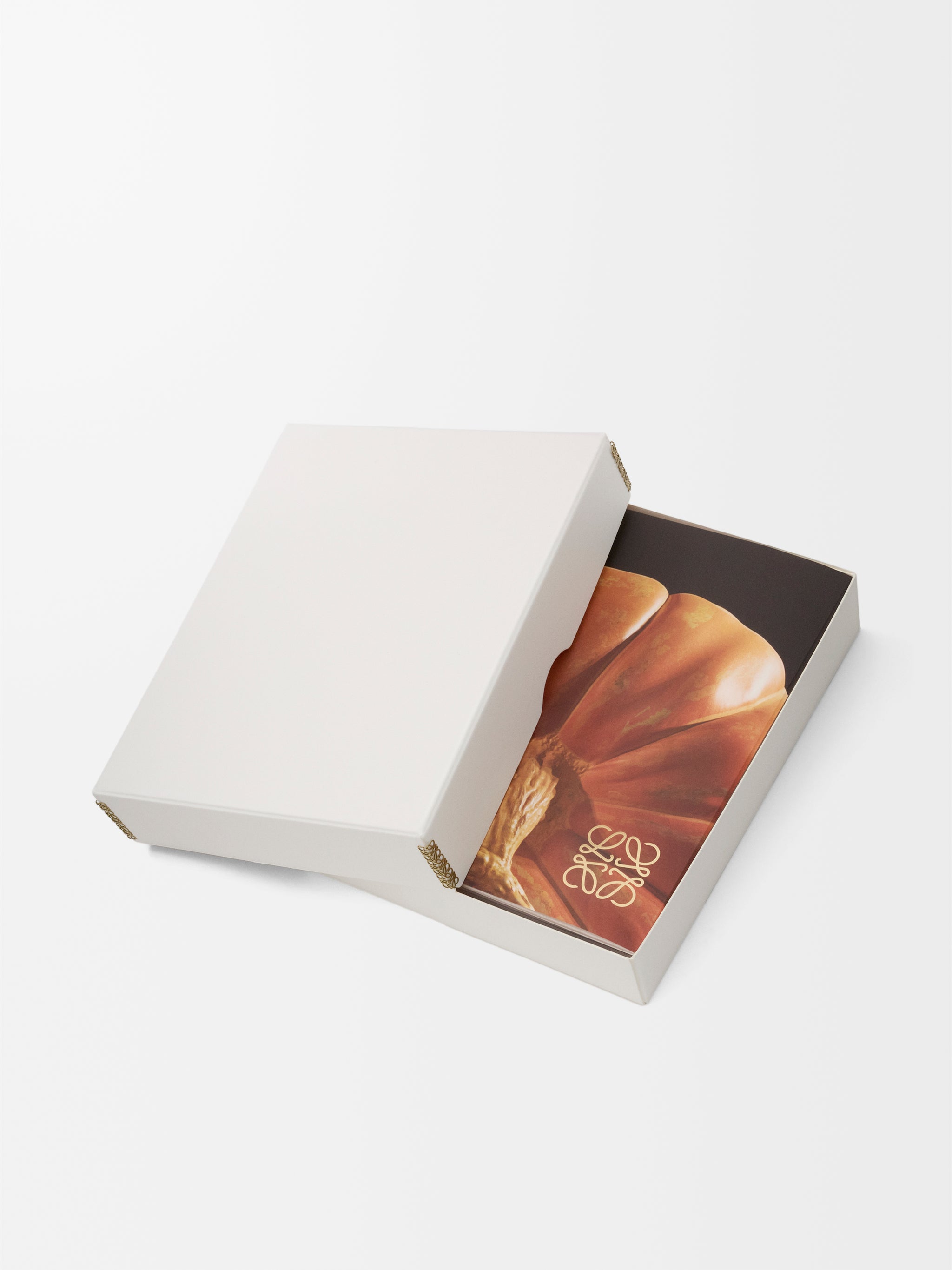 限定 LOEWE BOOK (With original box) アートブック 限定 LOEWE BOOK (With original box) アートブック