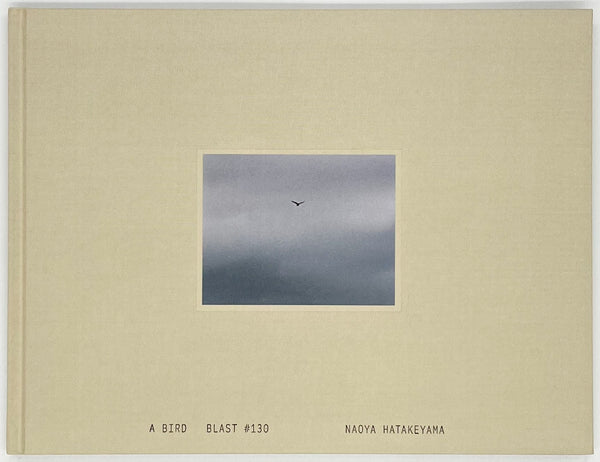 畠山直哉写真集『Ａ ＢＩＲＤ ＢＬＡＳＴ＃１３０』ｒｏｓｈｉｎｂｏｏｋｓ 畠山直哉『A BIRD Blast #130』 – 青山ブックセンター本店