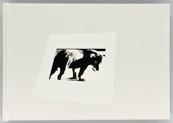 森山大道『DAIDO SLIDE』(RIGHT) r_b8132e23-597a-415b-9ed6-