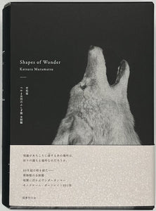 村松桂『Shapes of Wonder つやま自然のふしぎ館 全剝製』 – 青山