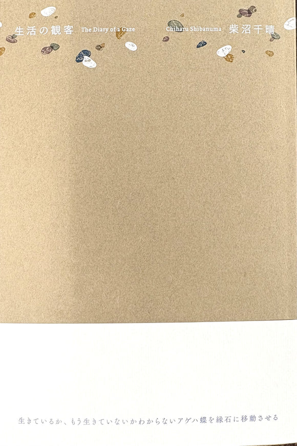 柴沼千晴『生活の観客』