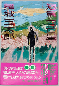 舞城王太郎『短篇七芒星』