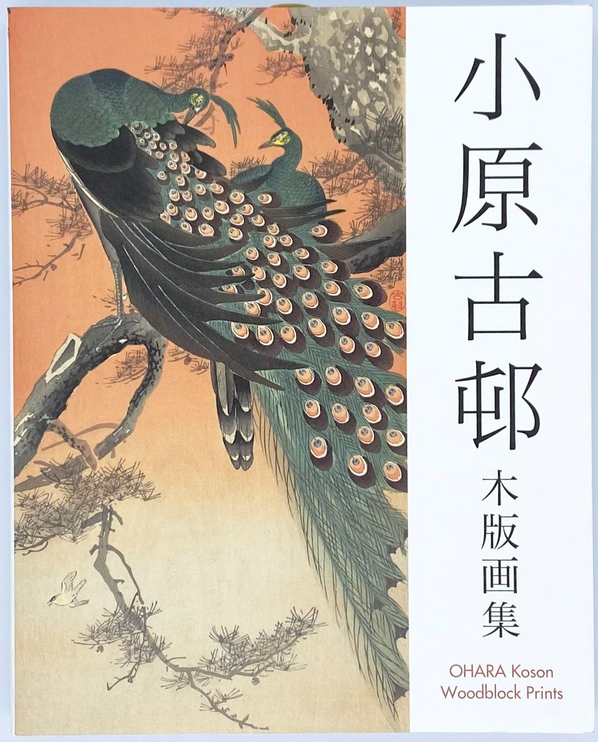 小原古邨「松につがいの孔雀」 | Hirataka Museum | MUUSEO 1019236