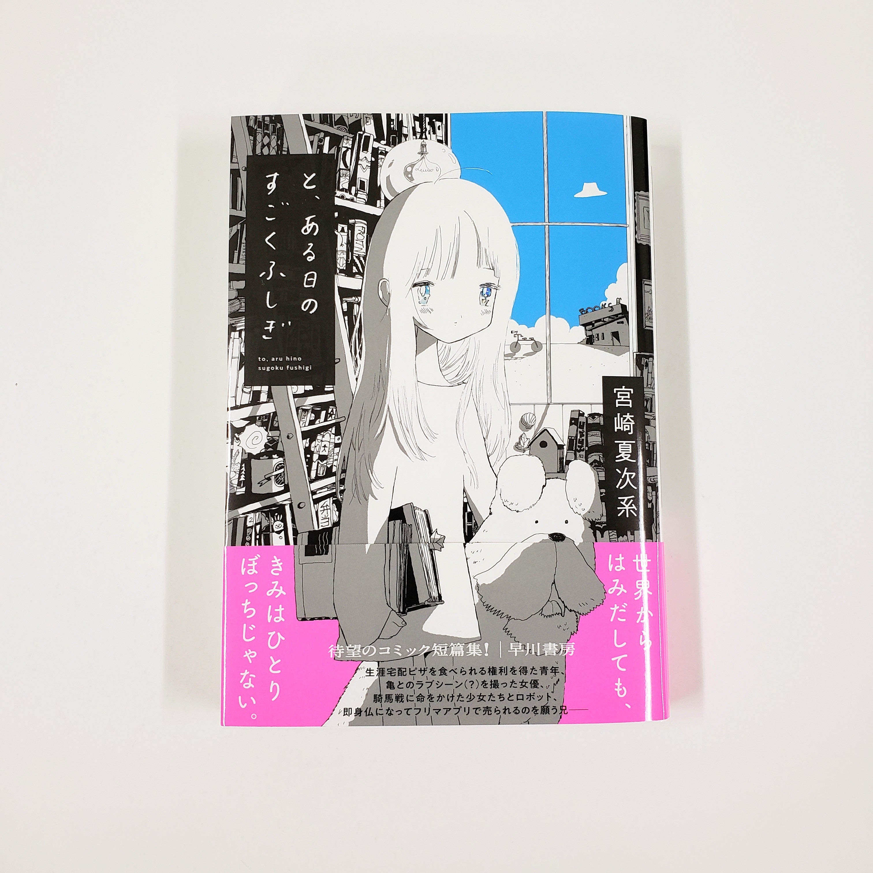 ９冊セット♪宮崎 夏次系 と、ある日のすごくふしぎ／僕は問題ありません rectangle_large_type_2_e4c1899