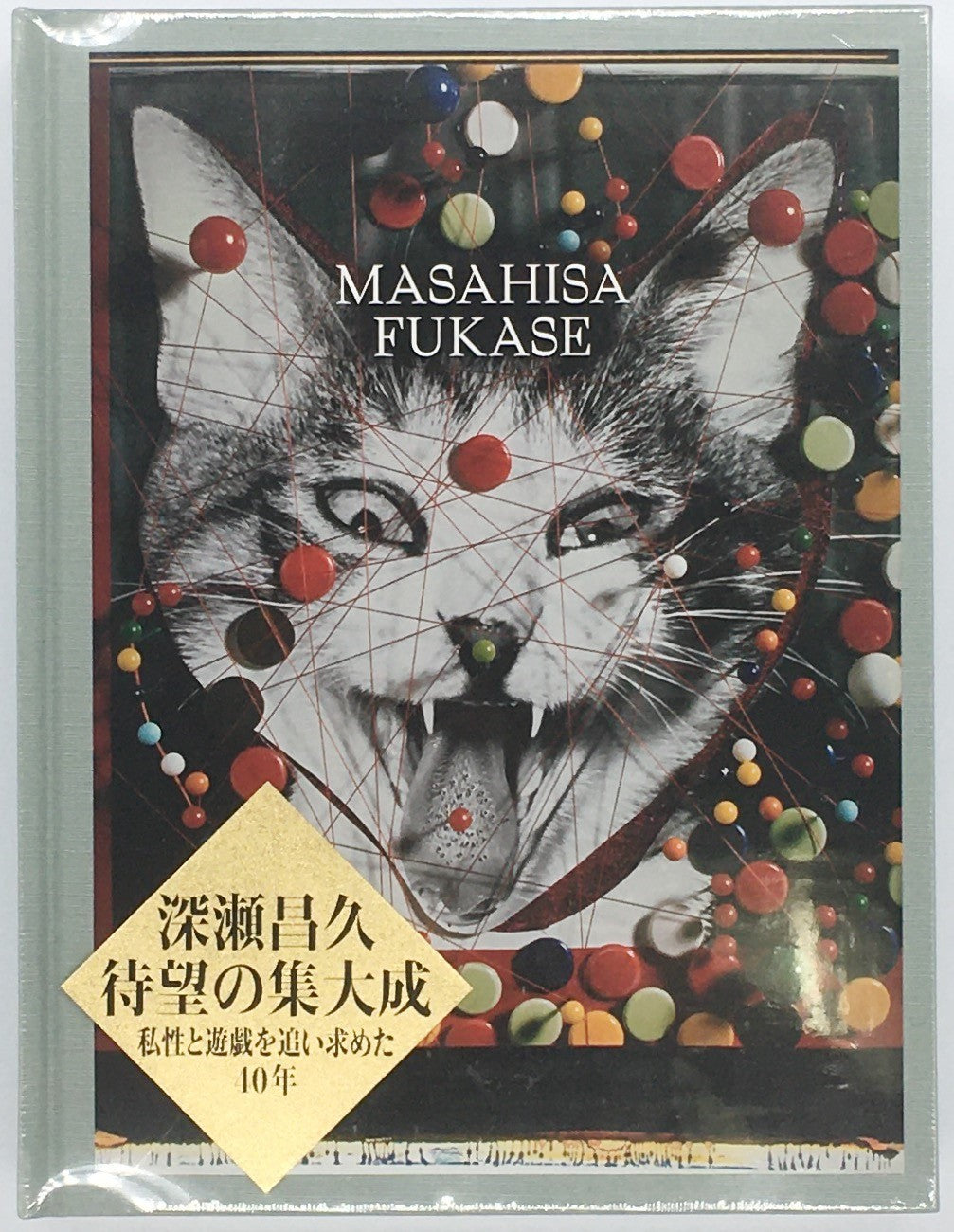 写真 – ページ 13 – 青山ブックセンター本店
